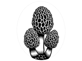 Morel Mushroom Earrings