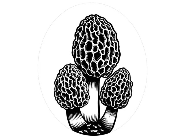 Morel Mushroom Earrings