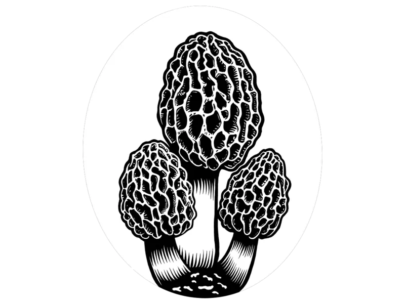 Morel Mushroom Earrings
