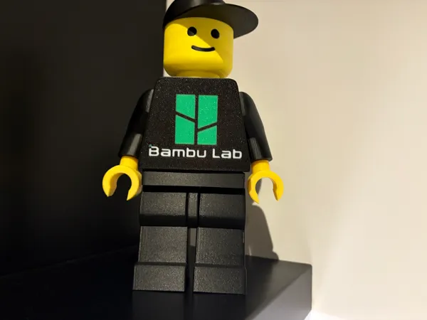https://makerworld.bblmw.com/makerworld/model/US4916d11cb6d3b3/design/2026-01-06_022ab57cf215f8.jpg