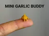 Mini Garlic Buddy - 0.12mm layer, 2 walls, 15% infill