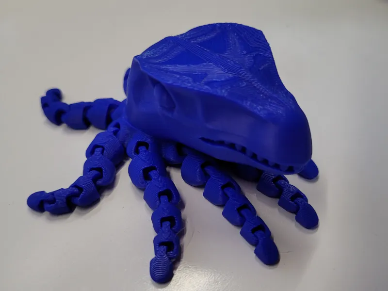 Raptopus