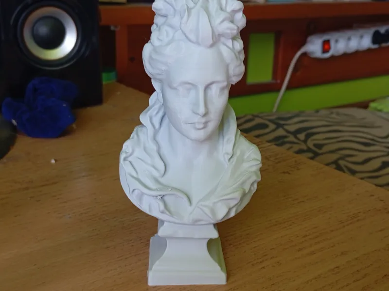 Bust of a beautiful woman