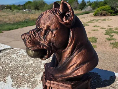 Pitbull Dog