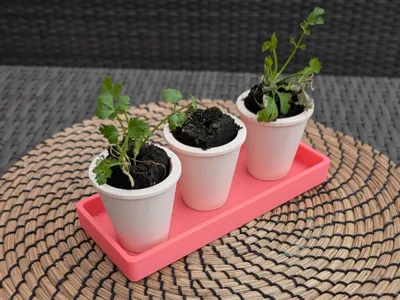 Sprout Dock & Drip Tray