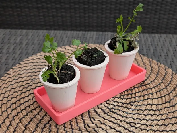 Sprout Dock & Drip Tray