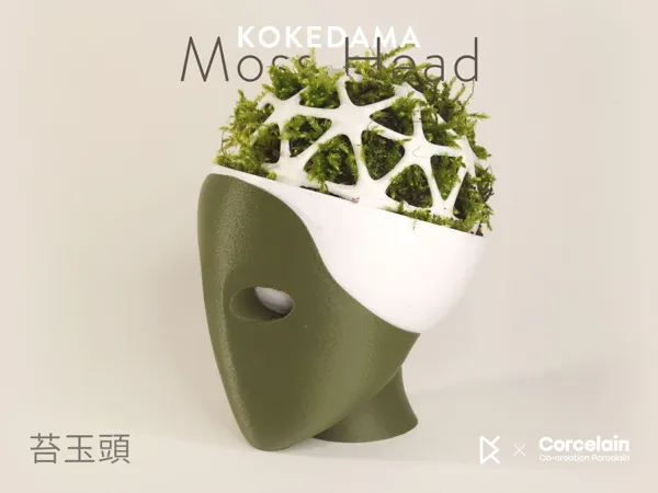 https://makerworld.bblmw.com/makerworld/model/US49242bdcd92214/design/2025-03-03_95f82b98b749f.jpg