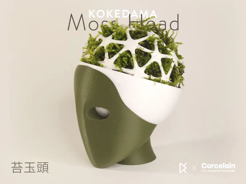 Mosshead Kokedama