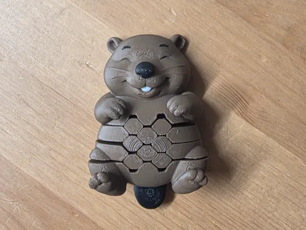 https://makerworld.bblmw.com/makerworld/model/US49294e19f69c91/design/44e9c9387a6b50a0.jpg