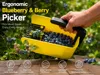 Ergonomic Blueberry & Berry Picker