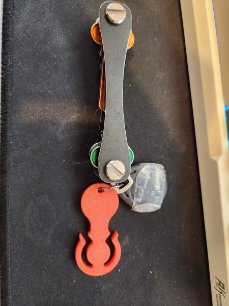 https://makerworld.bblmw.com/makerworld/model/US492f84e3320562/design/2024-12-09_nkumicoplj3r.jpg