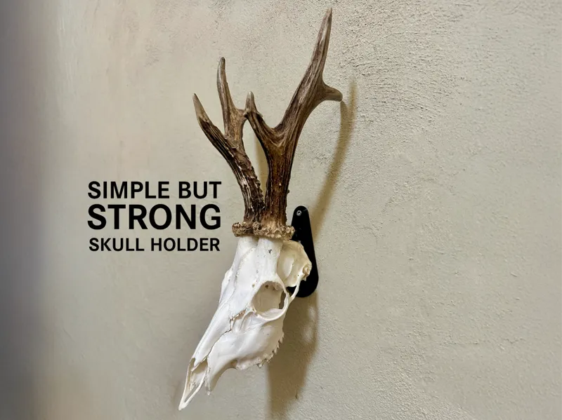 Simple but strong skull holder