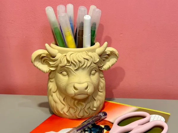 https://makerworld.bblmw.com/makerworld/model/US4932f30d17af43/design/2025-12-13_0de1c0487d1038.jpg