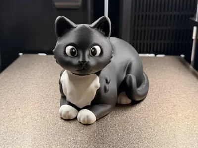 Tuxedo Cat Cartoon Style