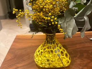 Voronoi Design Vase