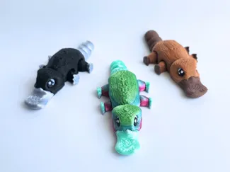 Platypus Flexi