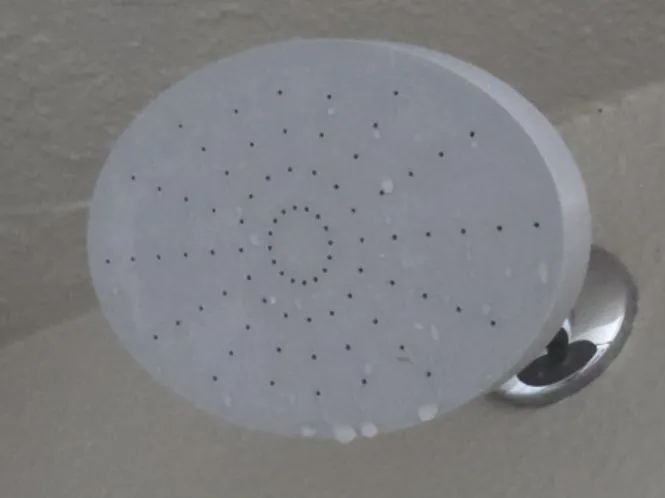 Oval Shower Head