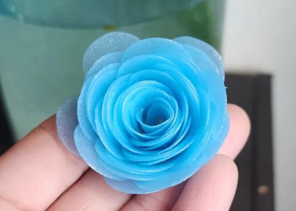 https://makerworld.bblmw.com/makerworld/model/US494029caea5e20/design/2024-05-21_15f12d497f535.jpg