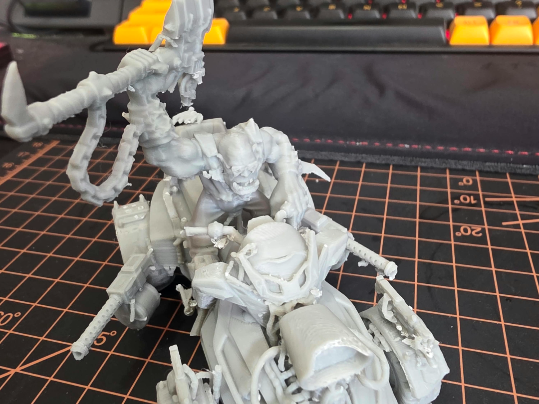 Skull "Chip"er Shellmuncha - 1