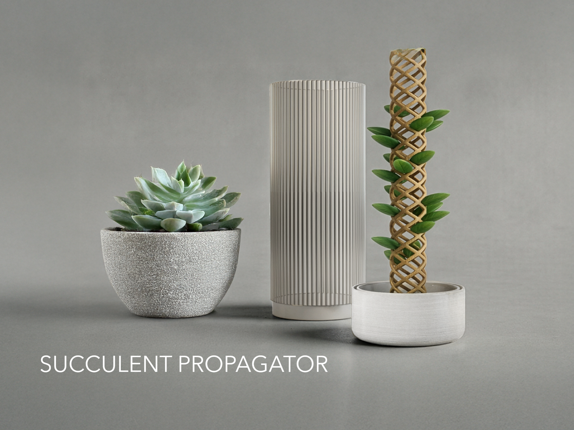 Succulent Propagator