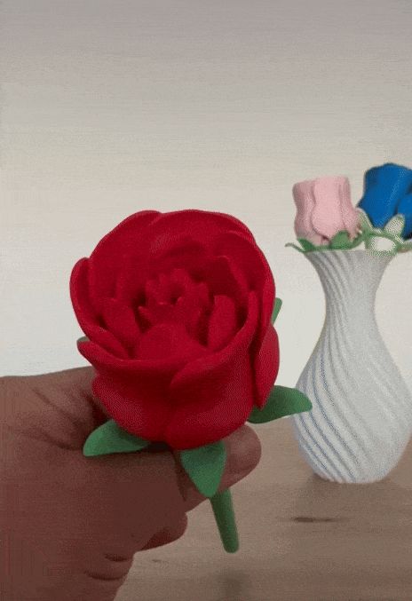 https://makerworld.bblmw.com/makerworld/model/US49454e03363987/design/2025-01-02_c1997d66f537d.gif