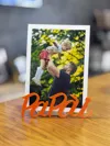 Papàì 0.2mm layer, 2 walls, 15% infill
