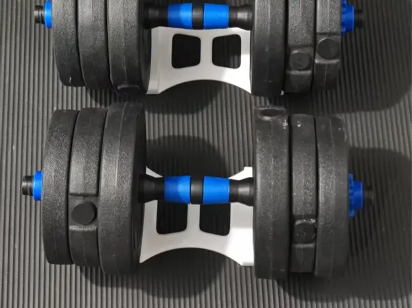 https://makerworld.bblmw.com/makerworld/model/US4949472a549977/design/8b80d976-435e-4105-874c-f35b2426fde9.webp