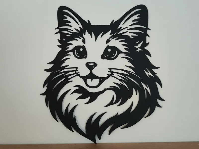 Angora cat