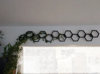 Plant support
