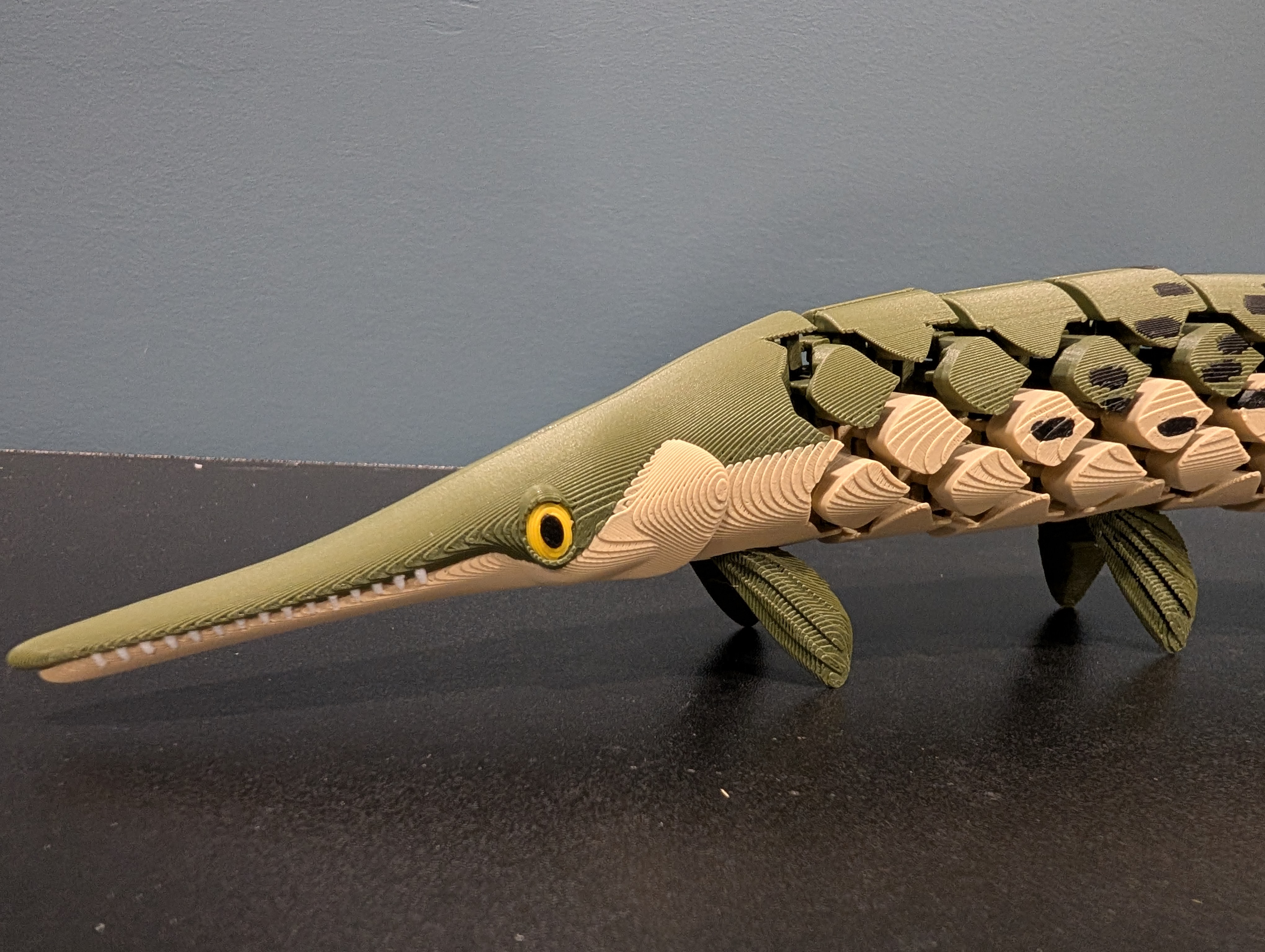 Articulated Gar (Long nose and Alligator) - 1