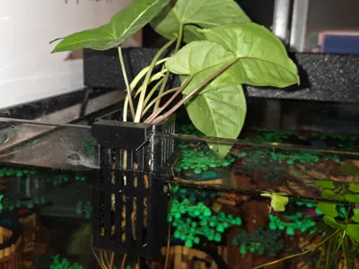 Aqaurium Propagation Basket