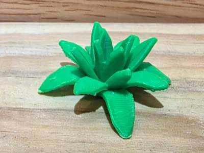 Miniature Agave Desert Plant Succulent