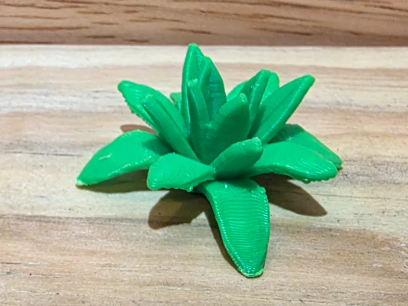 Miniature Agave Desert Plant Succulent