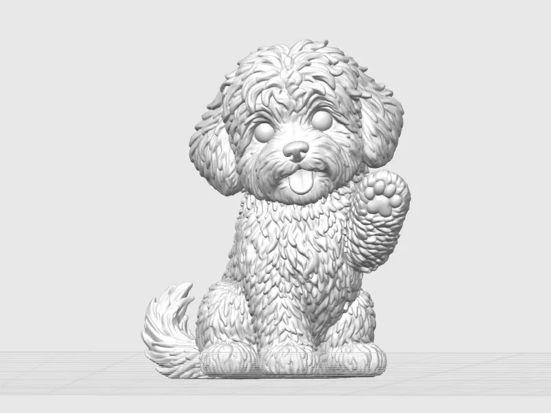 Perro Labradoodle dando la pata