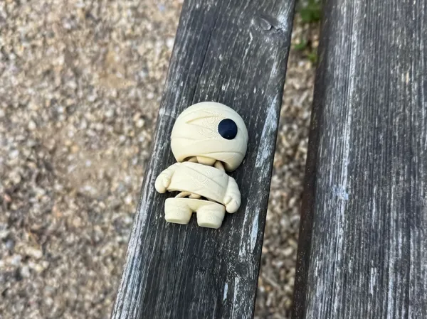 https://makerworld.bblmw.com/makerworld/model/US495b560429be5d/design/2025-08-29_9ea069ad34f128.jpeg