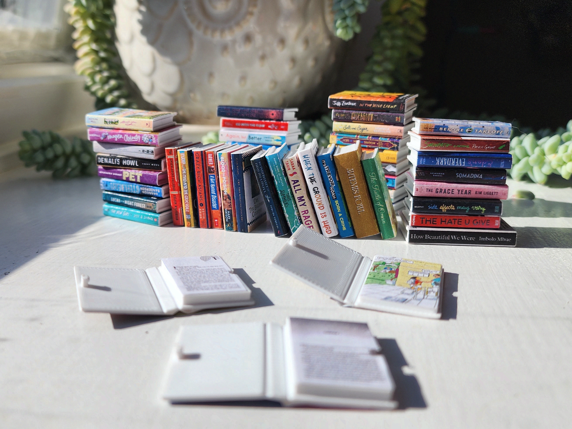 Mini Foldable Books
