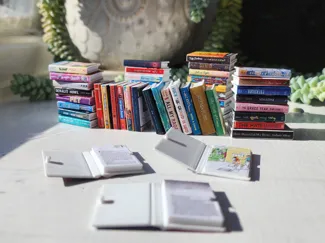 Mini Foldable Books