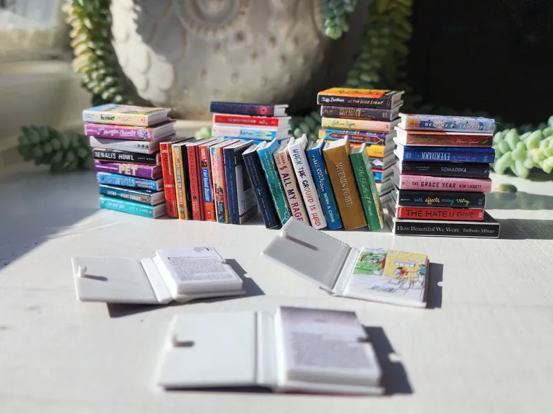 Mini Foldable Books