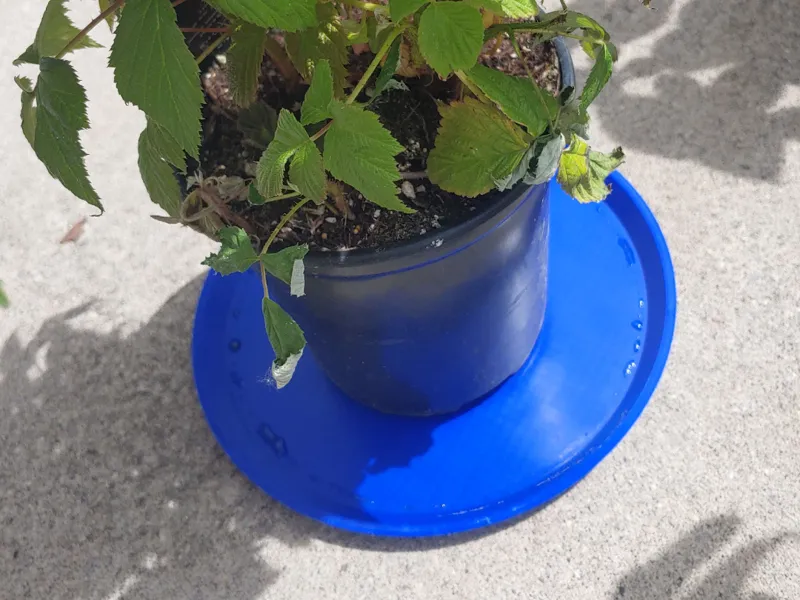 Customizable Plant Pot Saucer