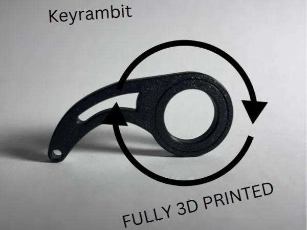 https://makerworld.bblmw.com/makerworld/model/US4965f5e7a36b07/design/2025-02-14_2a288dd3a617e.png