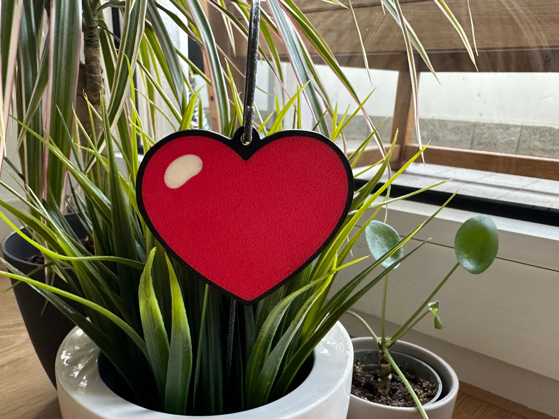 Heart Ornament with Reflection