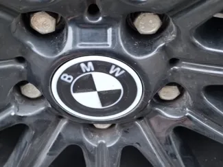 BMW rotating wheel hub caps for Style 166