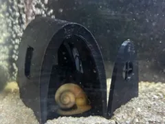 Simple and Little Fish House