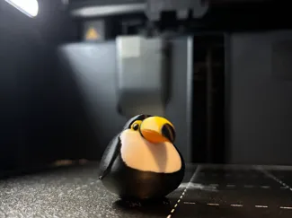 FAT Toucan