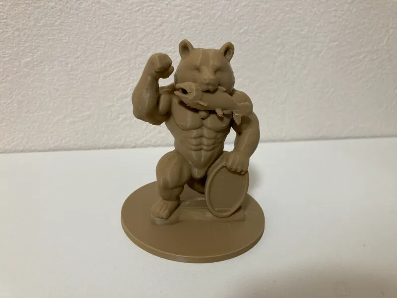 Muscular bear