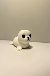 Adorable phoque — photo 3