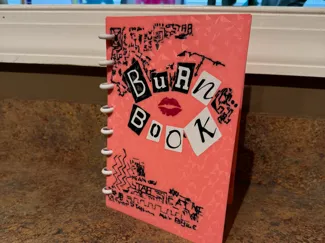 Mean Girls burn book A5 discbound notebook