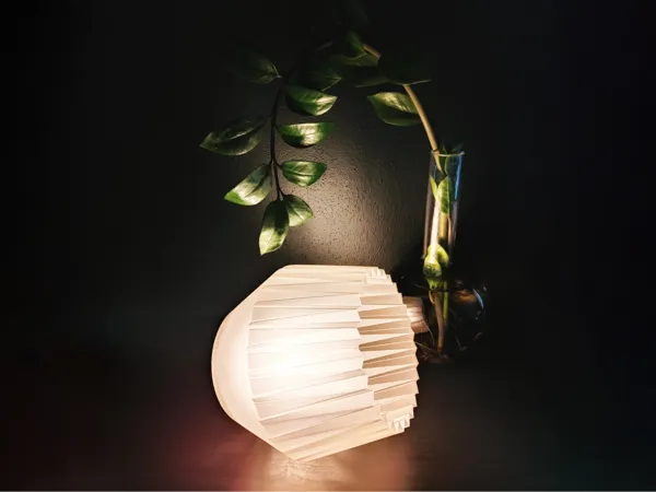 https://makerworld.bblmw.com/makerworld/model/US497f9bc478525b/design/2024-08-04_618efa9059331.jpg