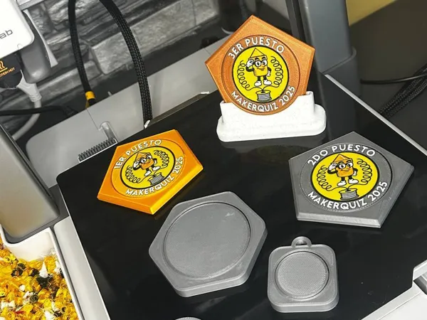 https://makerworld.bblmw.com/makerworld/model/US4980080adce092/design/d403fa23022346af.jpg