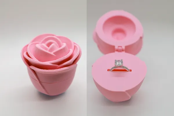 https://makerworld.bblmw.com/makerworld/model/US4982f8d71b4133/design/2024-02-10_48e8fc8f6912b.png